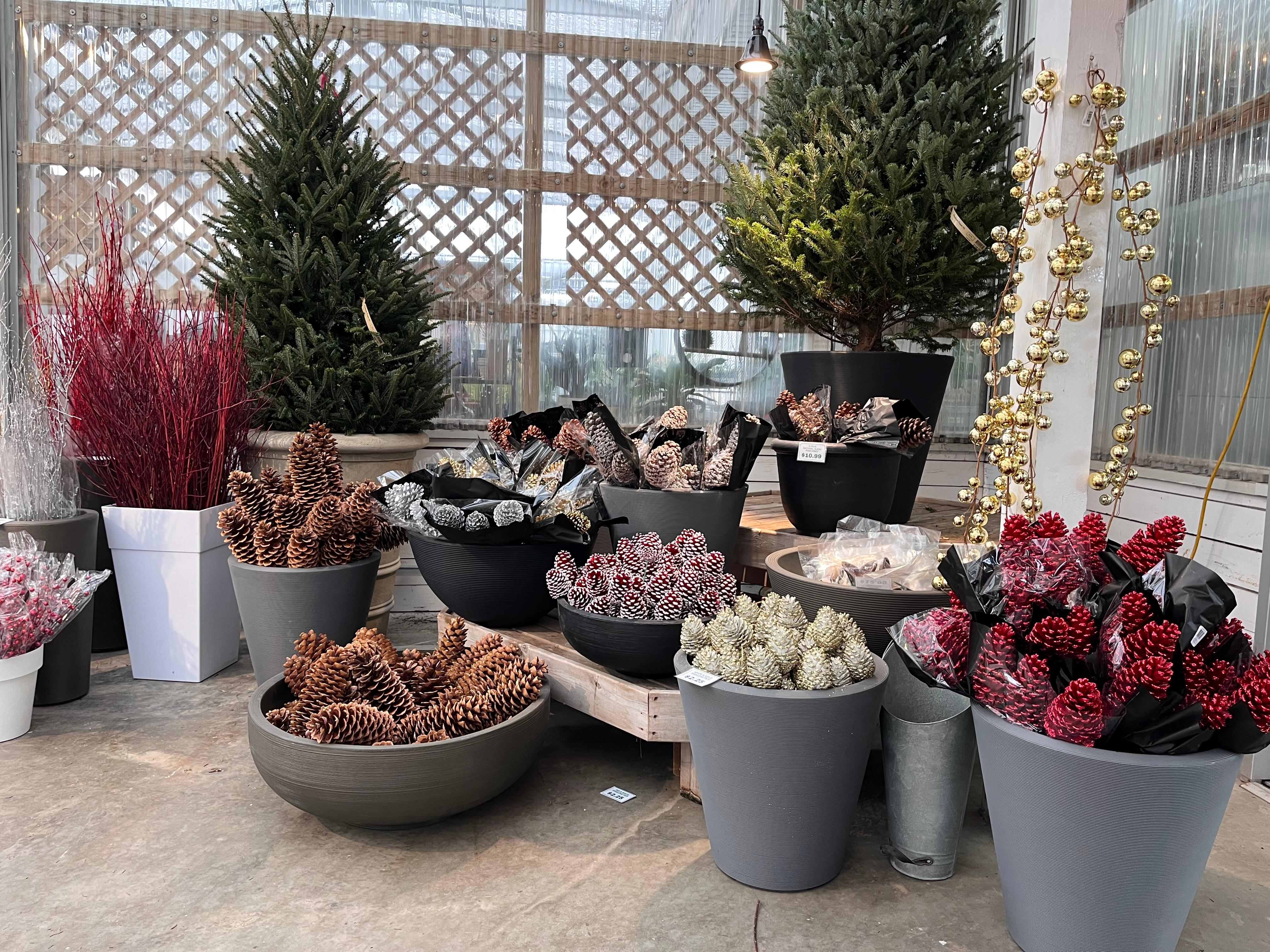 Different kinds of pinecone and stick decorations on display at a garden center.